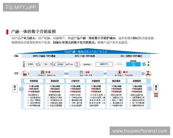 解析亚美AG旗舰厅的营销手段与用户获取策略